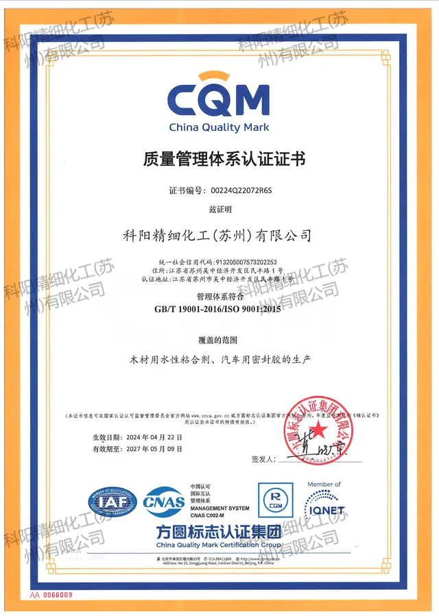 ISO 9001